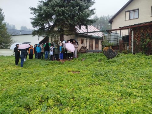 16241324-82e8-44c0-be70-e9d3579455c7