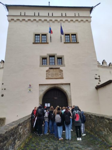 ef33231c-d911-4ff7-a112-842ed22c408e