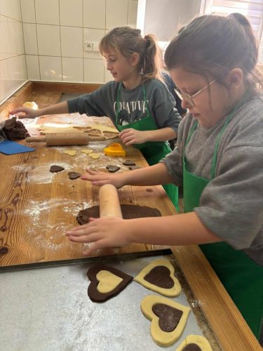 88ae9ecf-074c-42f7-86f1-9f0754896a40