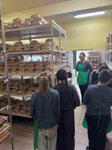 cfa87fe7-5fc0-43d2-996d-5066158dc55f