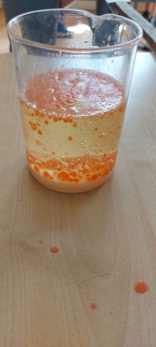 uczniowie-eksperymentuja-4