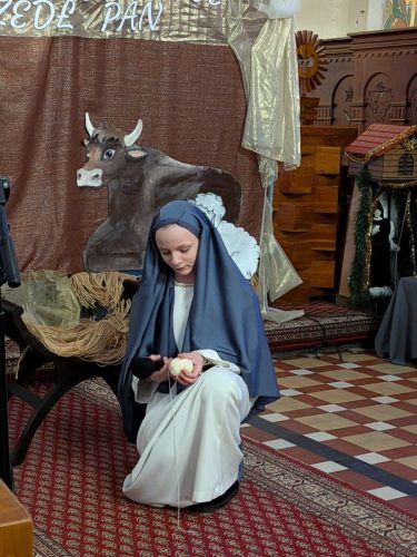 PXL 20260106 133558382