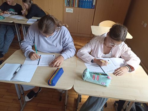 uczniowie-rozwiazuja-zadania-matematyczne-9