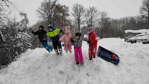 IMG 20260113 134620513 BURST002