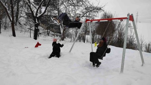 IMG 20260114 105244093 MP-1